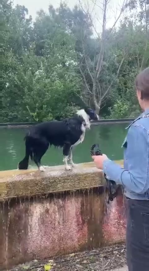 Elio au bord de l'eau
